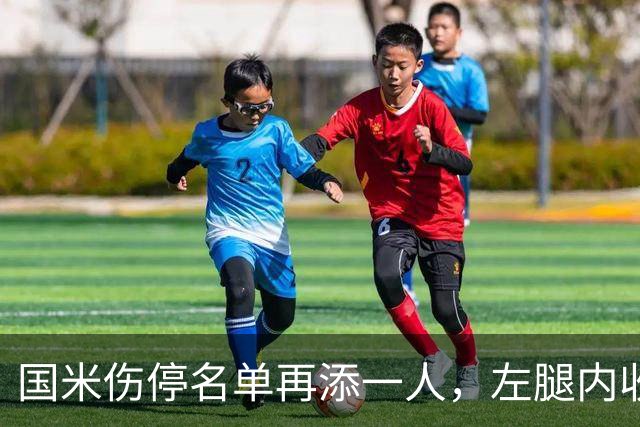 国米伤停名单再添一人，左腿内收肌拉伤至少缺阵两场